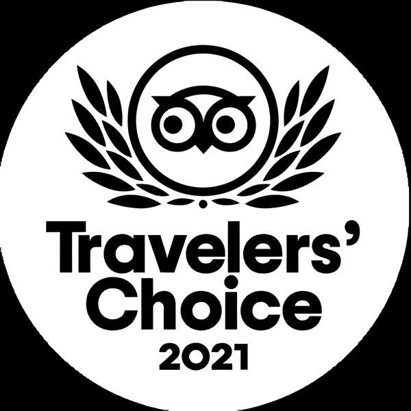 Travelers Choice 2021 logo with owl motif in black lettering on white background