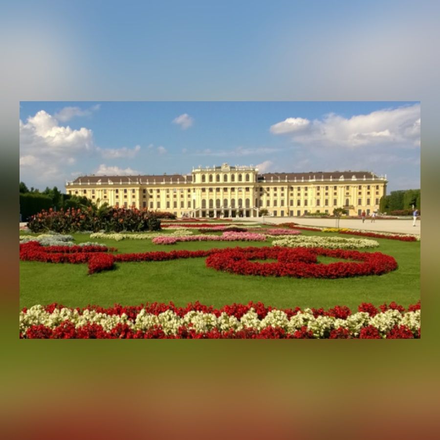 Schloss Schönbrunn mit einem großen Blumenbeet im Garten