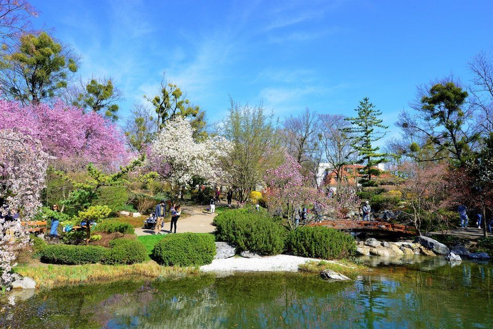 Frühlingslandschaft in einem japanischen Garten mit einem Teich bunten Bäumen und Wegen durch die Blumen