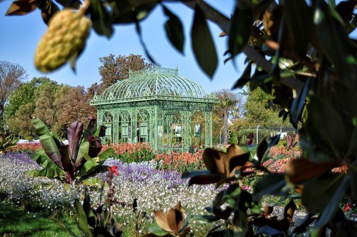 Orangerie im Park Volksgarten mit bunten Blumen und Laubblättern im Vordergrund