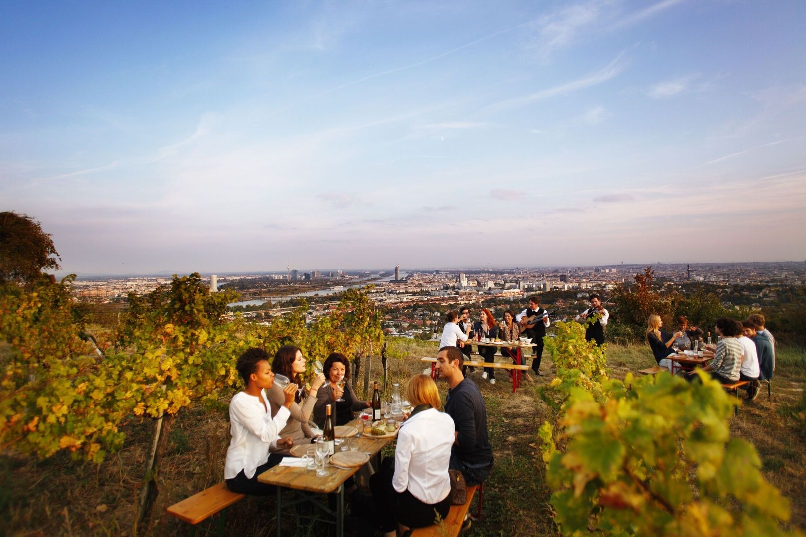 Freunde und Familie sitzen an Tischen in einem Weinberg mit Blick auf die Stadt Wien.