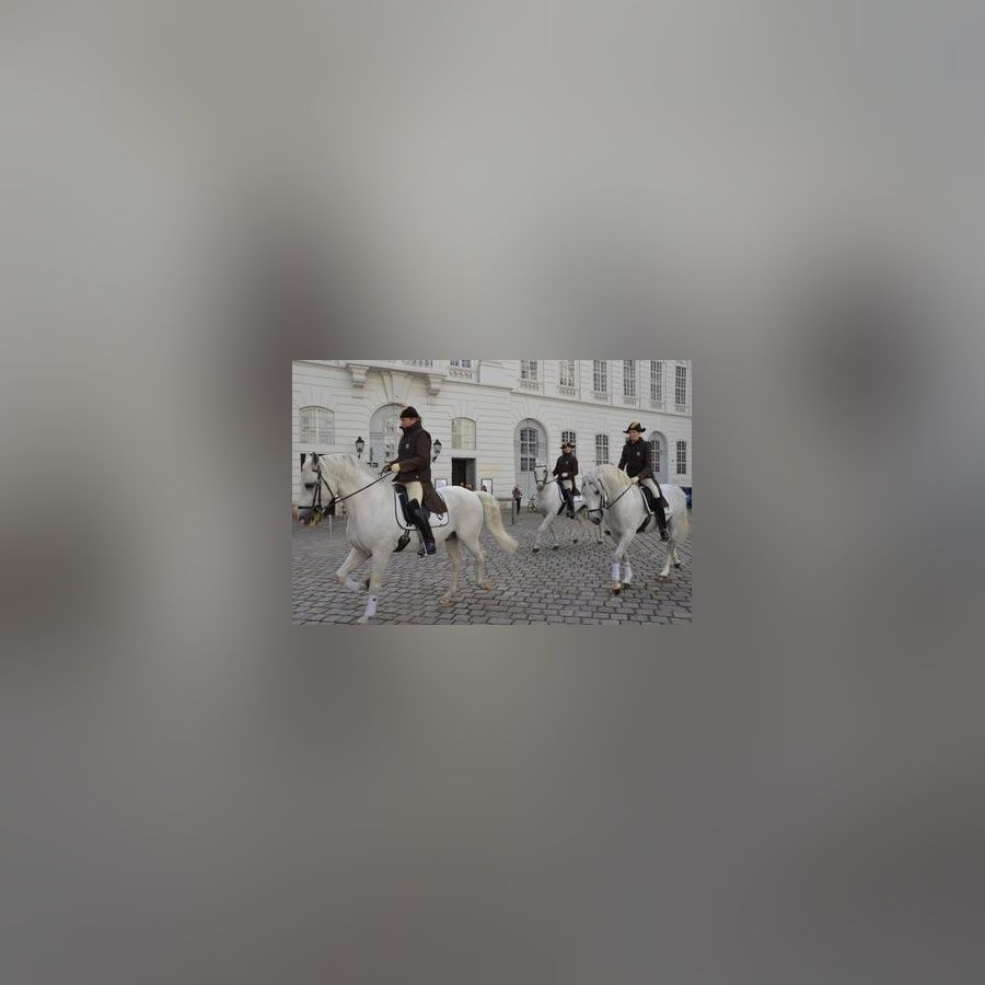 Drei Reiter der spanischen Hofreitschule auf Lipizzanern auf der Straße.